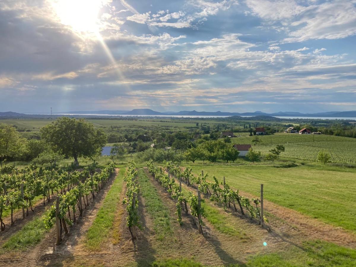 Wine & Space Lodge At Lake Balaton Balatonlelle Dış mekan fotoğraf